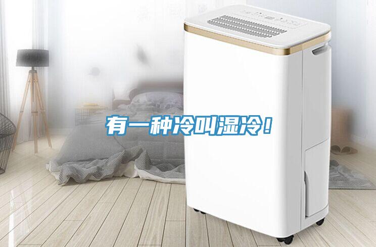 有一種冷叫濕冷！