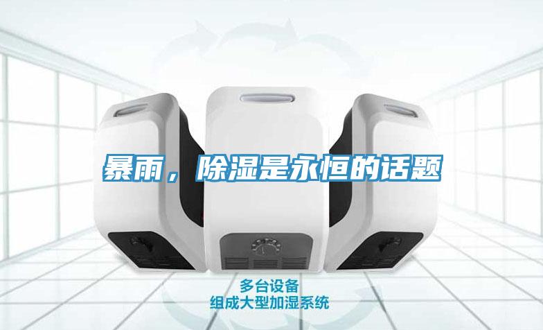 暴雨，除濕是永恒的話題