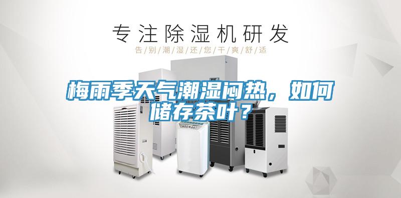 梅雨季天氣潮濕悶熱，如何儲存茶葉？