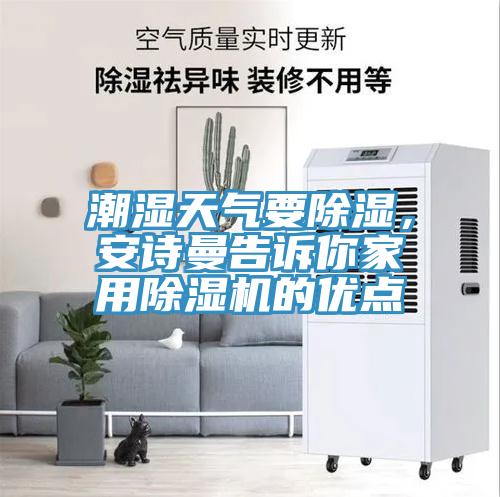 潮濕天氣要除濕，91看片免费下载告訴你家用91看片网站的優點