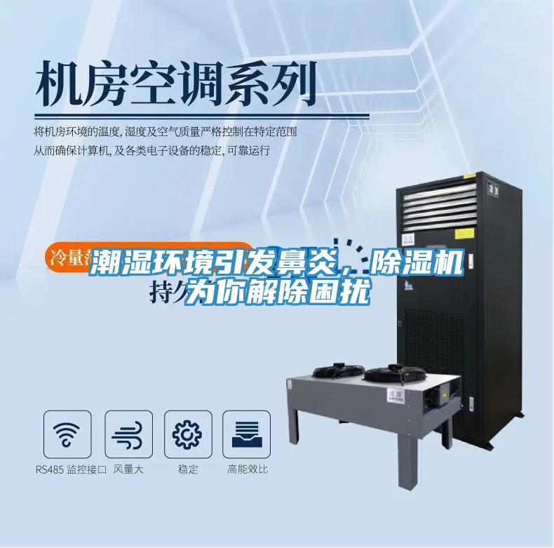 潮濕環境引發鼻炎，91看片网站為你解除困擾