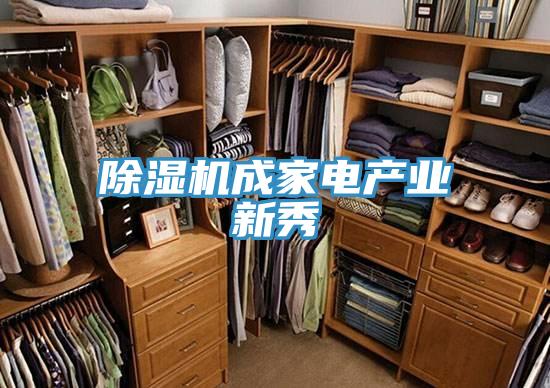 91看片网站成家電產業新秀
