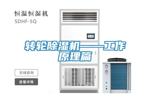 轉輪91看片网站——工作原理篇