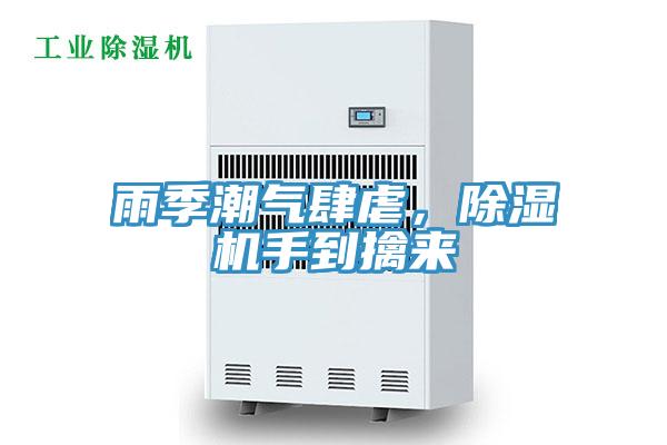 雨季潮氣肆虐，91看片网站手到擒來