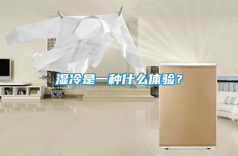 濕冷是一種什麽體驗？