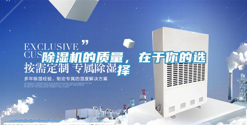 91看片网站的質量，在於你的選擇