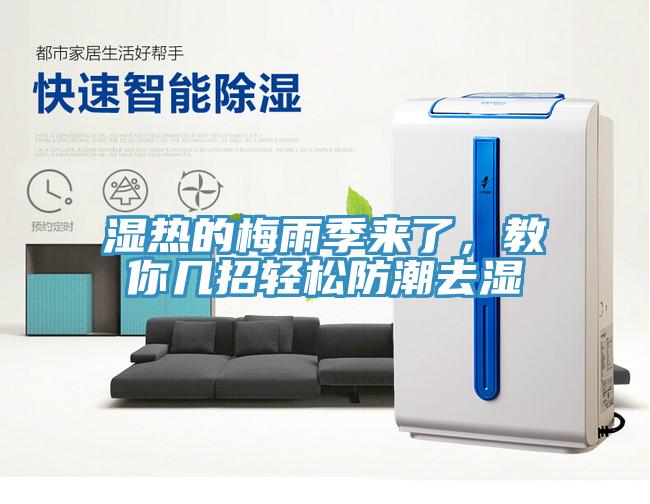 濕熱的梅雨季來了，教你幾招輕鬆防潮去濕