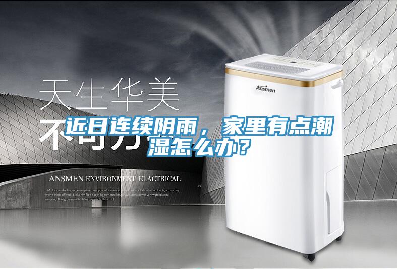 近日連續陰雨，家裏有點潮濕怎麽辦？