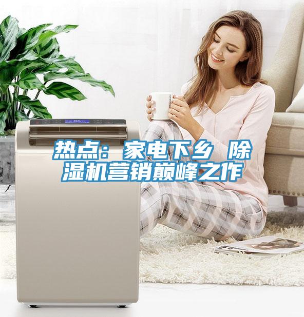 熱點：家電下鄉 91看片网站營銷巔峰之作