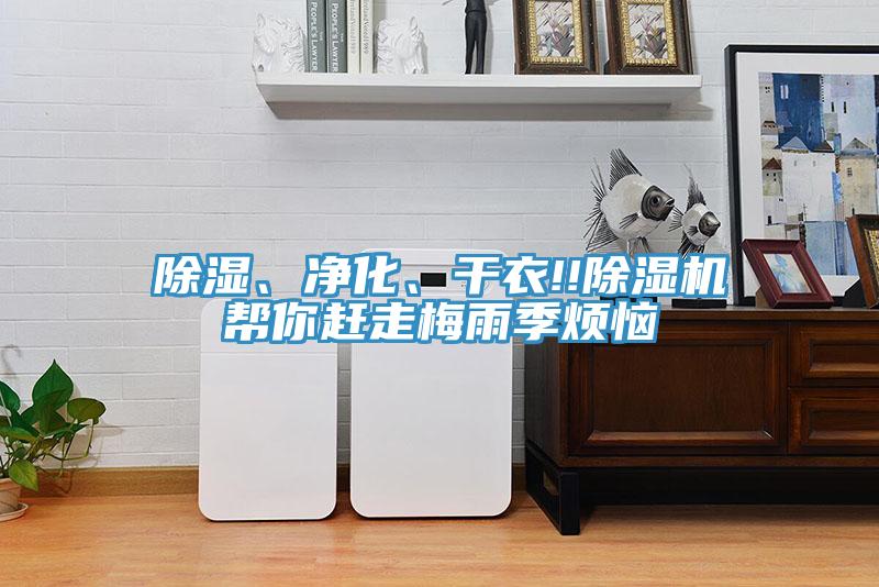 除濕、淨化、幹衣!!91看片网站幫你趕走梅雨季煩惱
