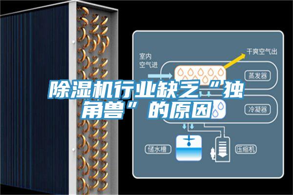 91看片网站行業缺乏“獨角獸”的原因