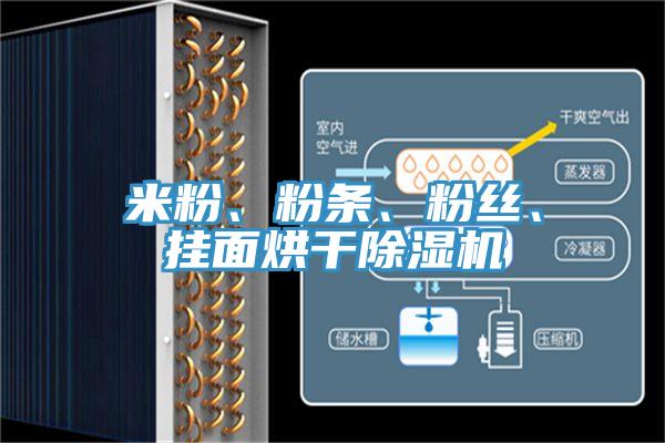 米粉、粉條、粉絲、掛麵烘幹91看片网站