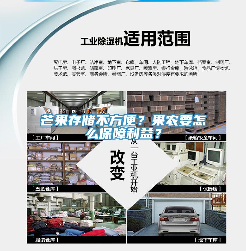 芒果存儲不方便？果農要怎麽保障利益？