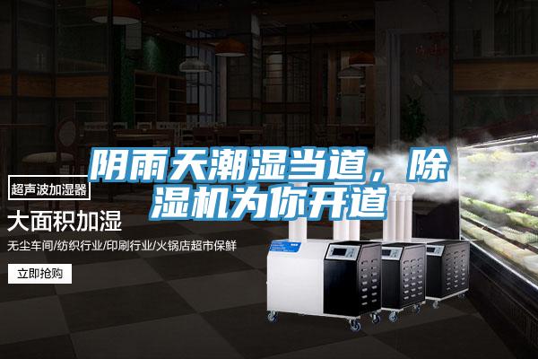 陰雨天潮濕當道，91看片网站為你開道