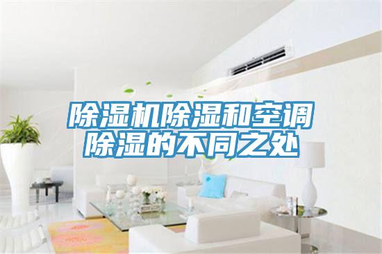 91看片网站除濕和空調除濕的不同之處