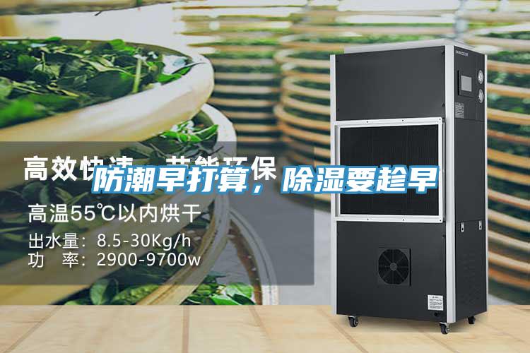 防潮早打算，除濕要趁早