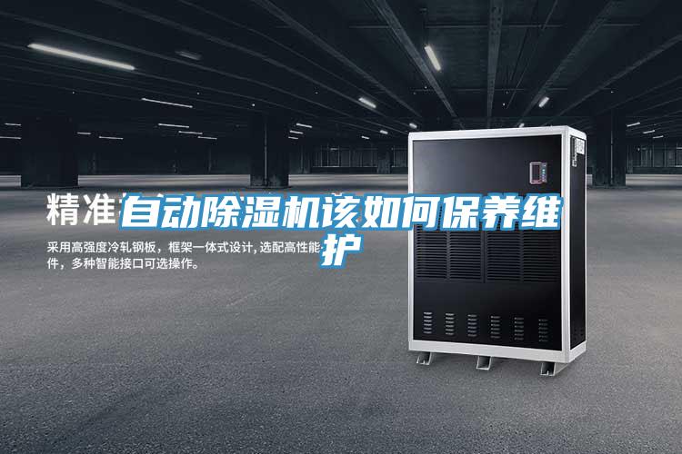 自動91看片网站該如何保養維護