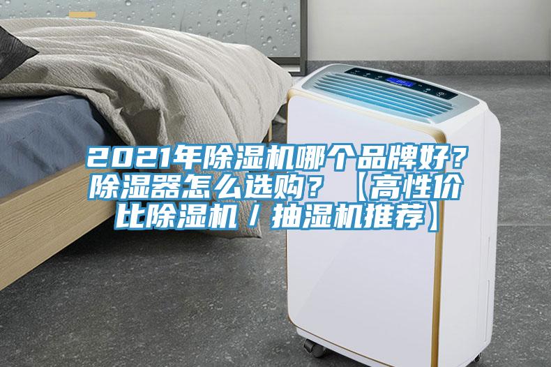 2021年91看片网站哪個品牌好？除濕器怎麽選購？【高性價比91看片网站／抽濕機推薦】