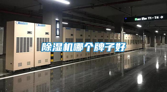91看片网站哪個牌子好