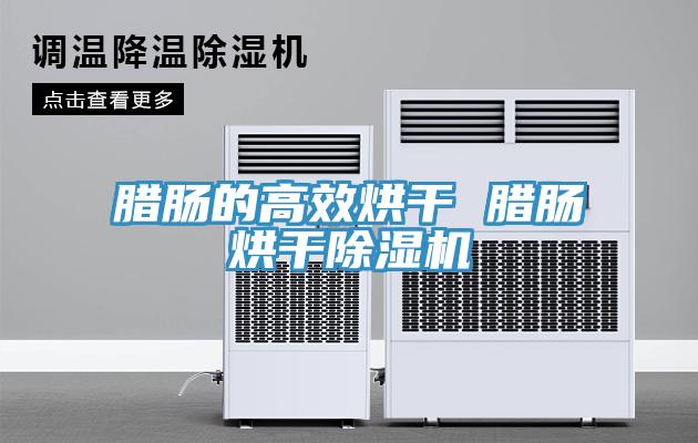 臘腸的高效烘幹 臘腸烘幹91看片网站