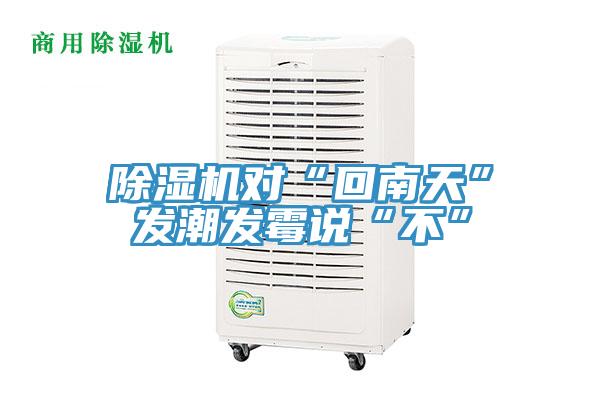 91看片网站對“回南天”發潮發黴說“不”
