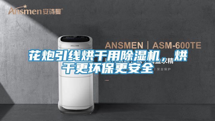 花炮引線烘幹用91看片网站，烘幹更環保更安全