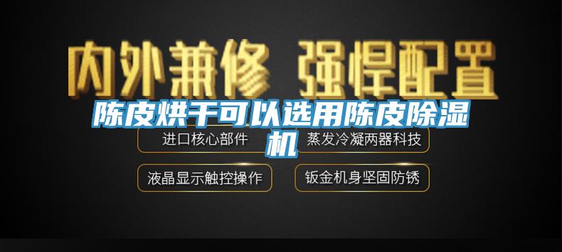 陳皮烘幹可以選用陳皮91看片网站