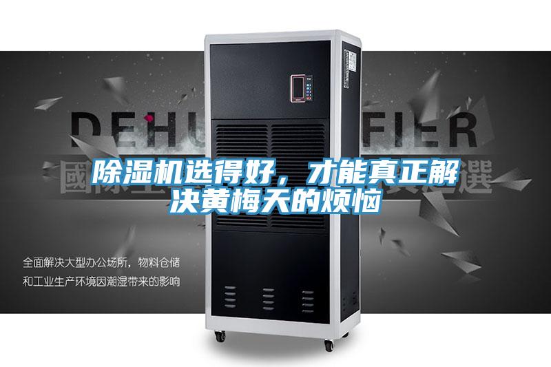 91看片网站選得好，才能真正解決黃梅天的煩惱