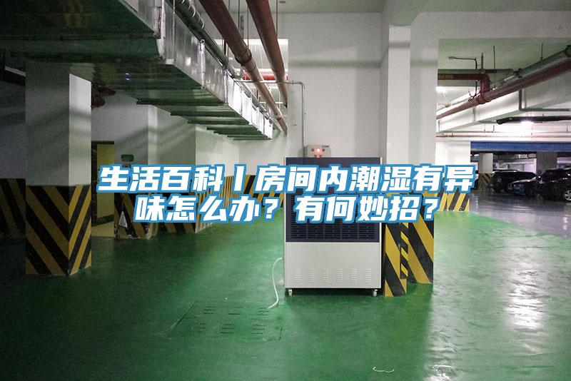 生活百科丨房間內潮濕有異味怎麽辦？有何妙招？