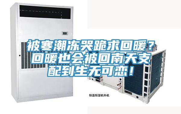 被寒潮凍哭跪求回暖？回暖也會被回南天支配到生無可戀！