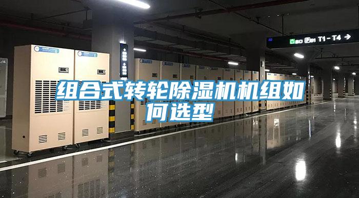 組合式轉輪91看片网站機組如何選型