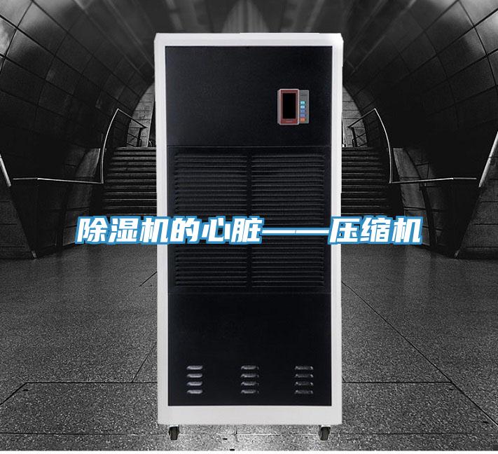 91看片网站的心髒——壓縮機