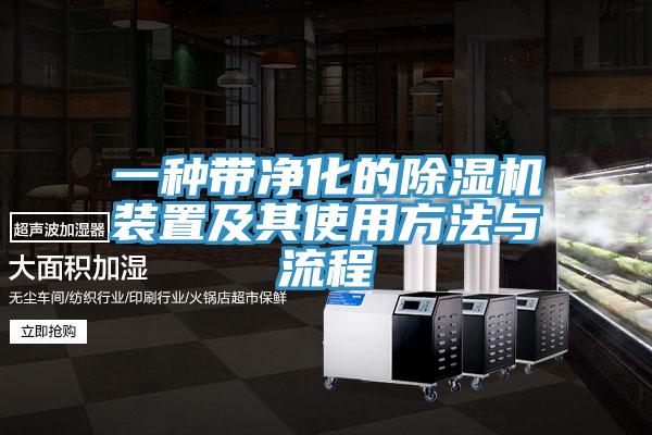 一種帶淨化的91看片网站裝置及其使用方法與流程