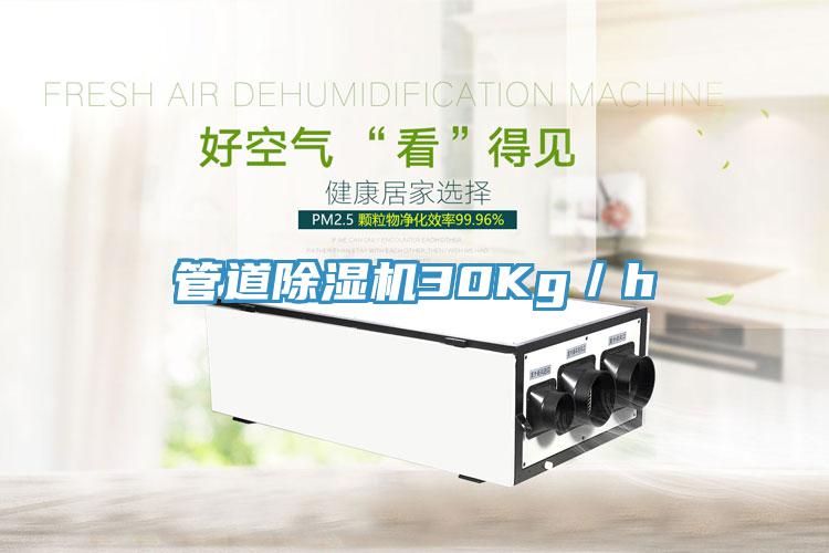 管道91看片网站30Kg／h