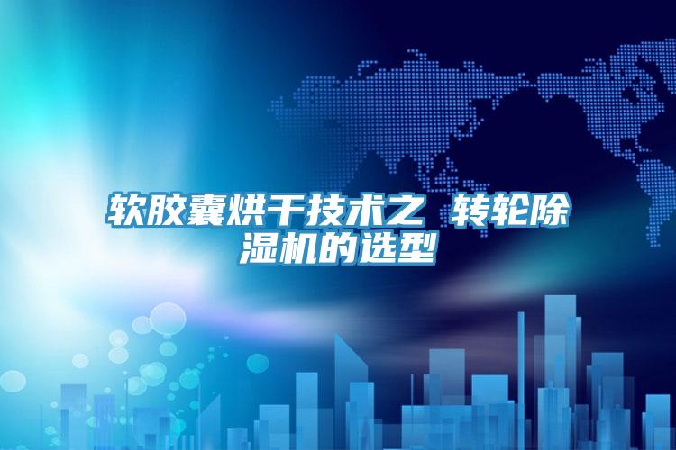 軟膠囊烘幹技術之 轉輪91看片网站的選型