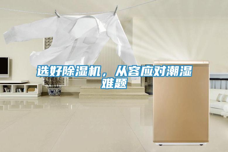 選好91看片网站，從容應對潮濕難題