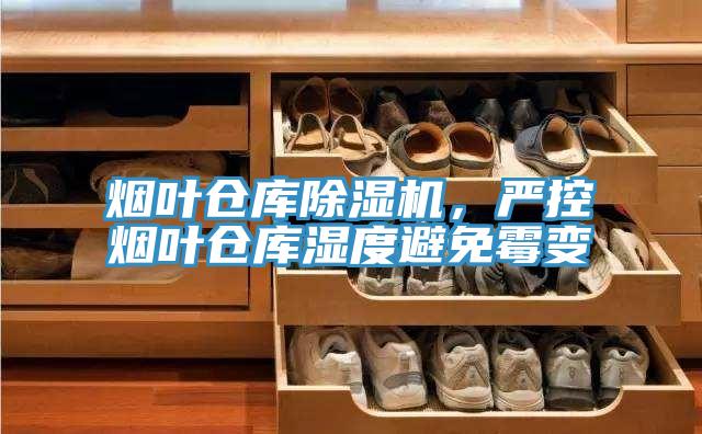 煙葉倉庫91看片网站，嚴控煙葉倉庫濕度避免黴變