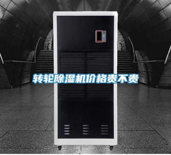 轉輪91看片网站價格貴不貴