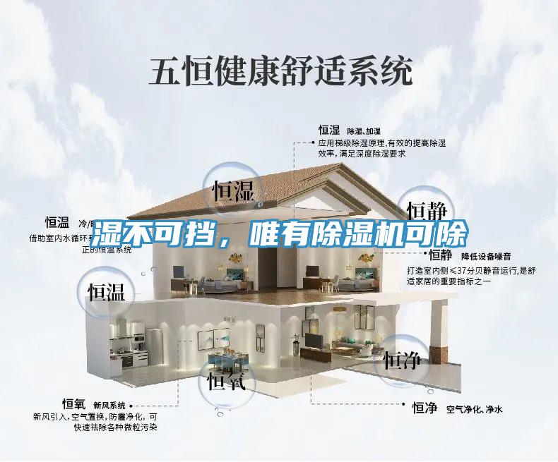 濕不可擋，唯有91看片网站可除