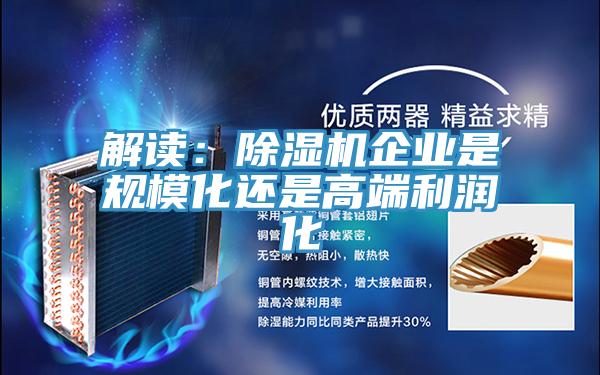 解讀：91看片网站企業是規模化還是高端利潤化