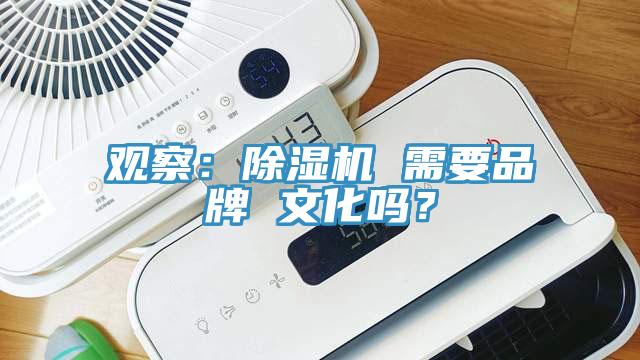 觀察：91看片网站 需要品牌 文化嗎？