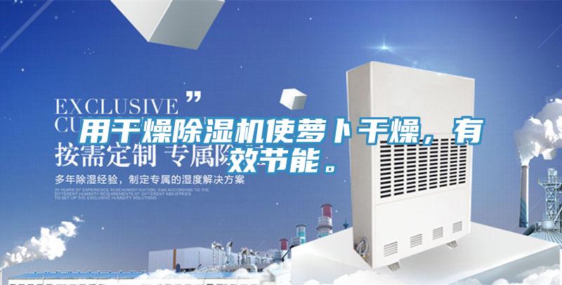 用幹燥91看片网站使蘿卜幹燥，有效節能。