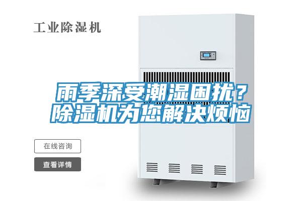 雨季深受潮濕困擾？91看片网站為您解決煩惱