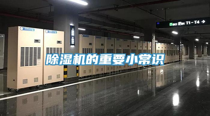 91看片网站的重要小常識