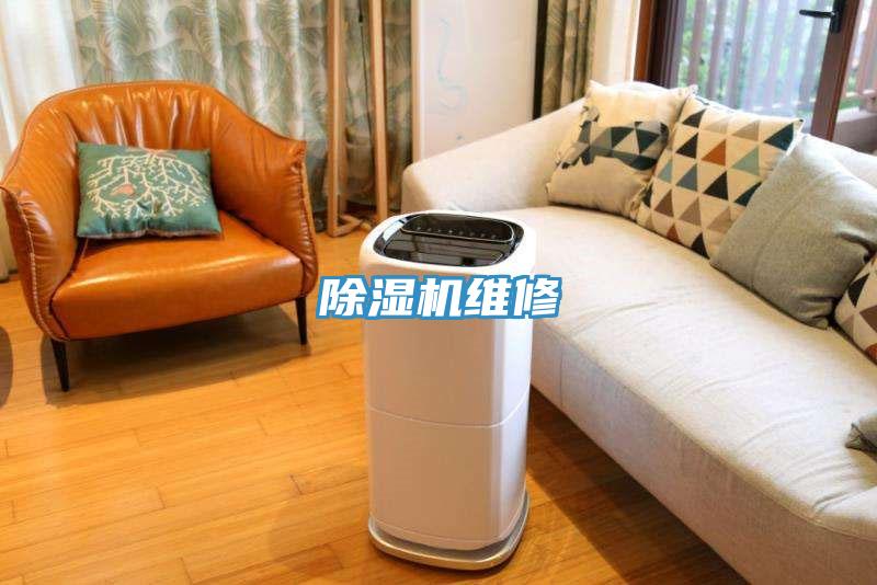 91看片网站維修