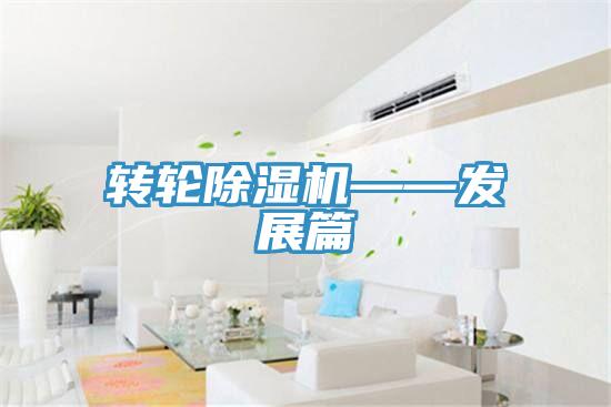 轉輪91看片网站——發展篇