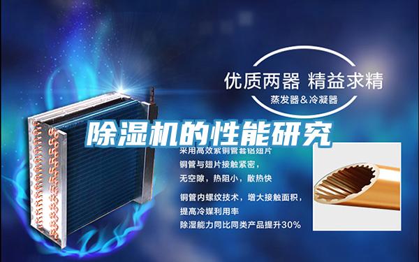 91看片网站的性能研究