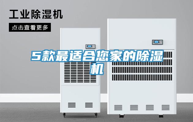 5款最適合您家的91看片网站
