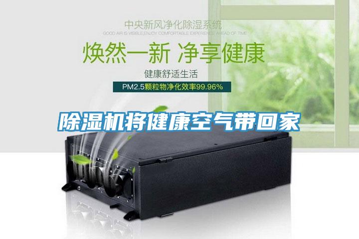 91看片网站將健康空氣帶回家