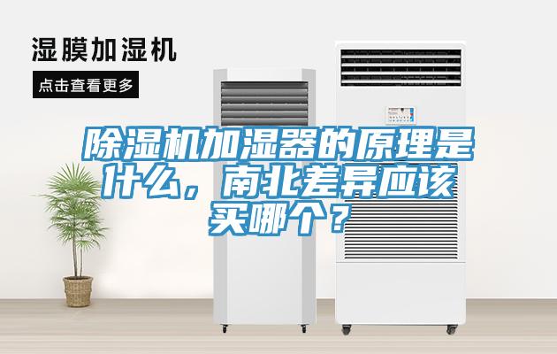 91看片网站加濕器的原理是什麽，南北差異應該買哪個？